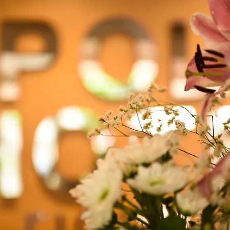 Hotel Beyou Polo