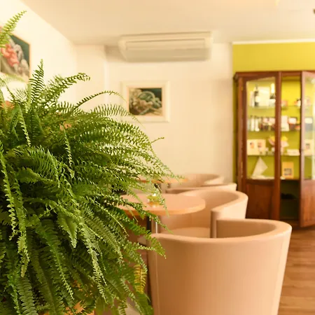 Beyou Polo Hotell 3*