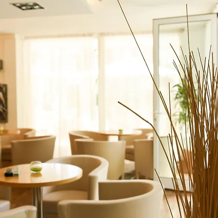 Beyou Polo 3* 里乔内