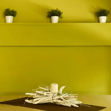 Beyou Polo Hotell Riccione